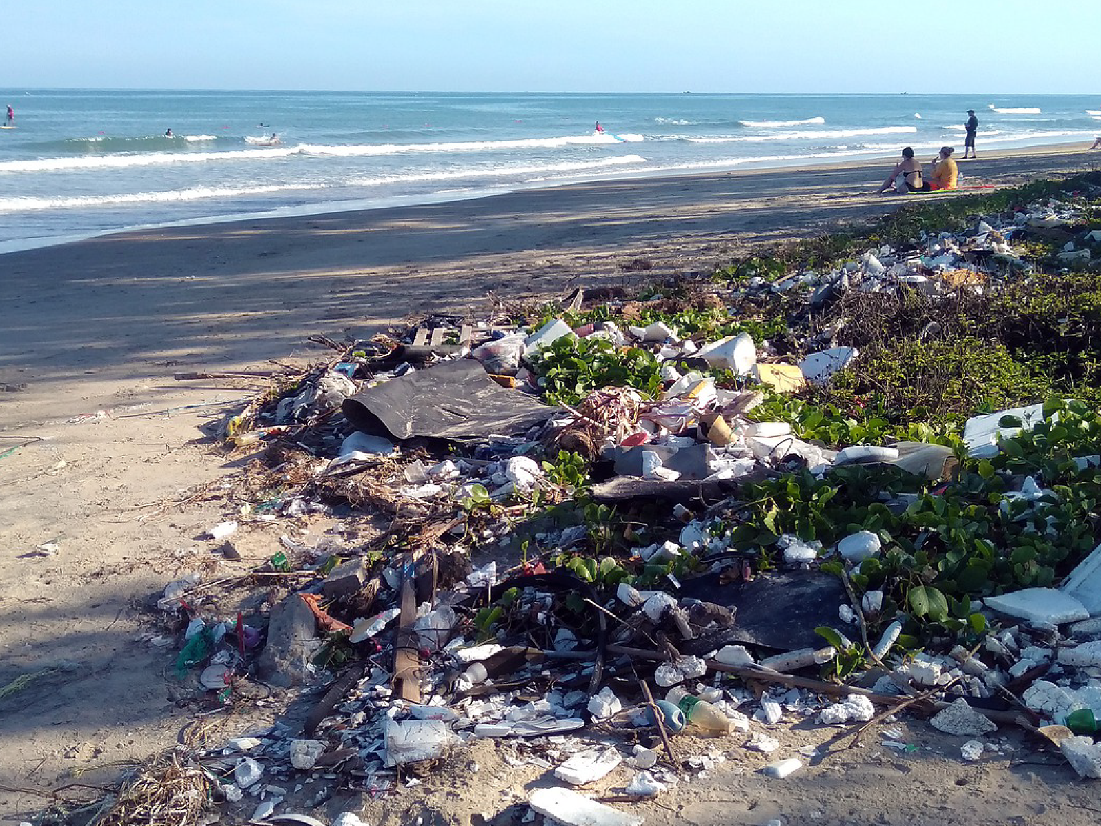 plastic pollution
