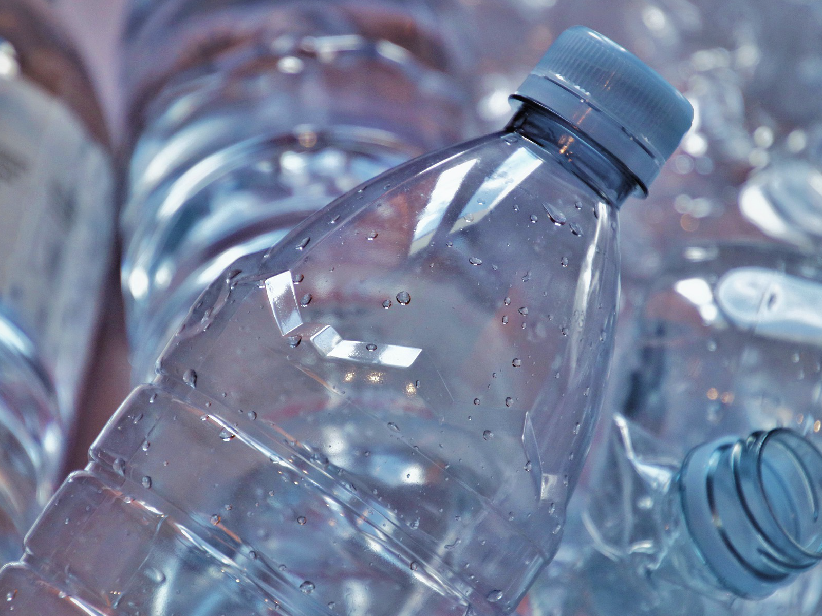 plastic bottles