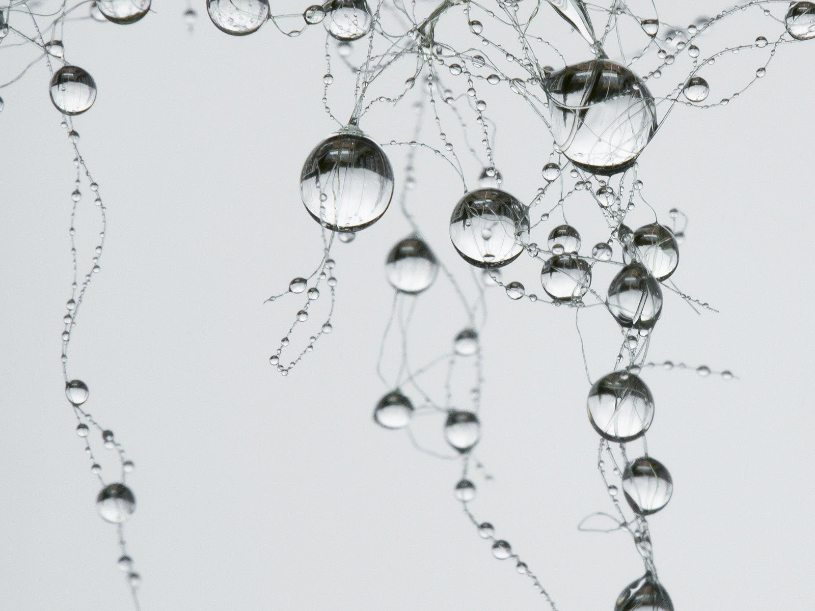 electrolysed water technology