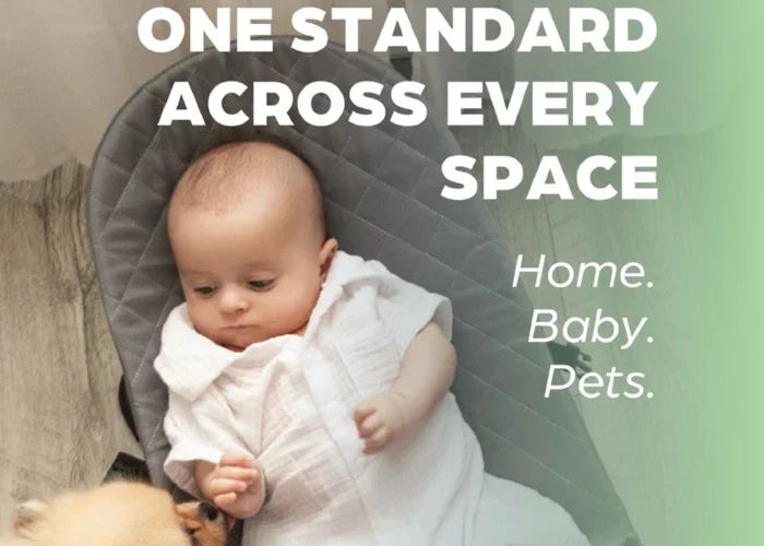 One Standard Across Every Space: The Dew Approach to Kinder, Safer, Cleaner Living