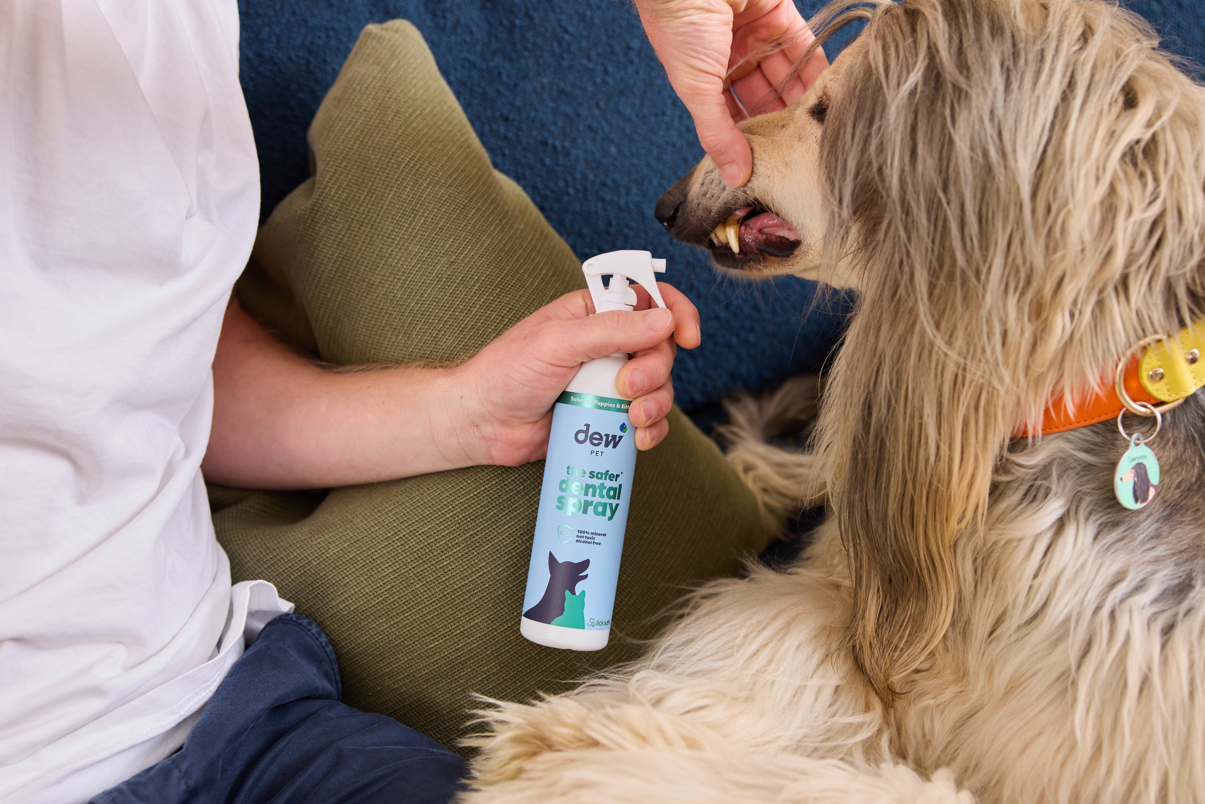 Dew Safer Pet Dental Spray