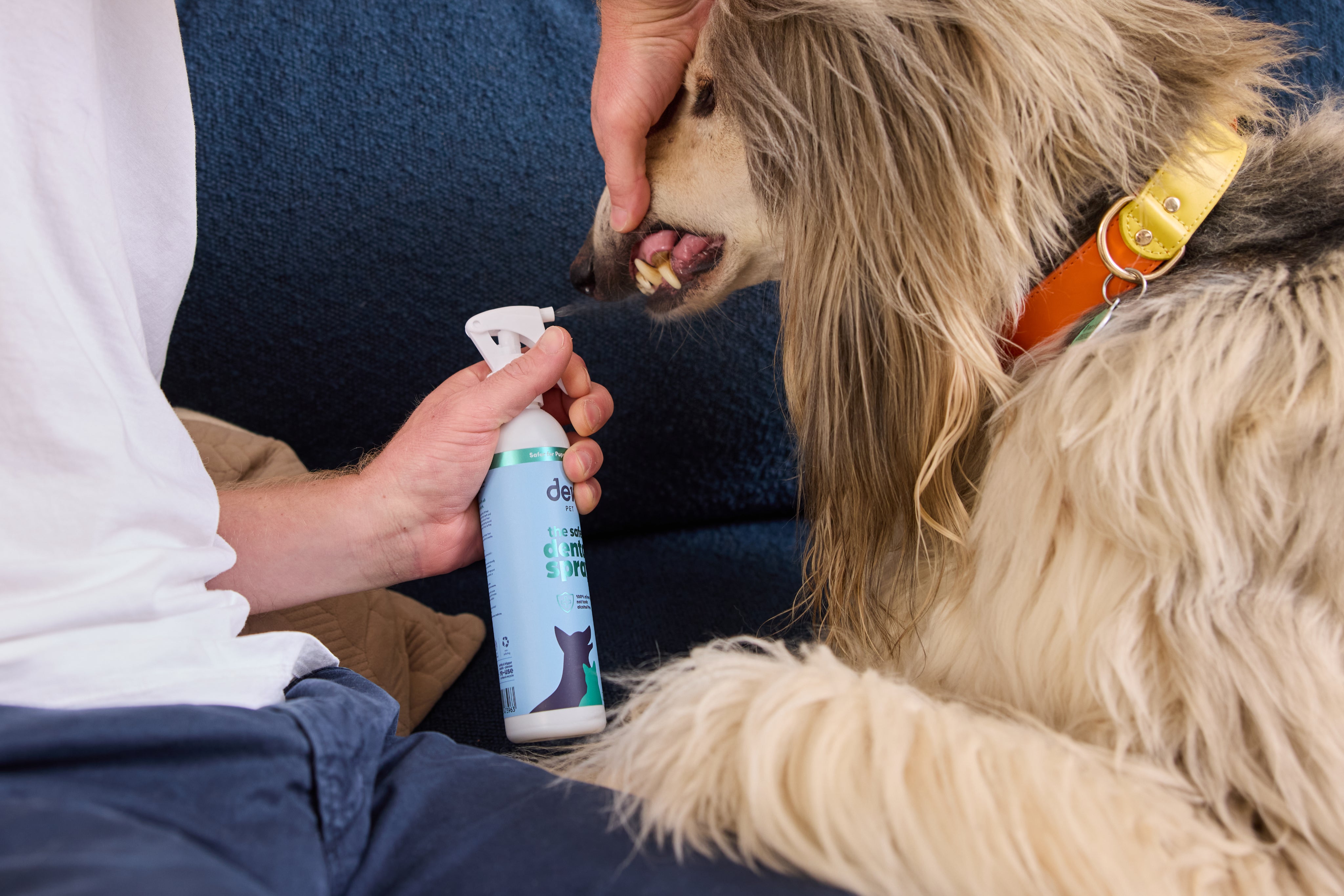 Dew Safer Pet Dental Spray
