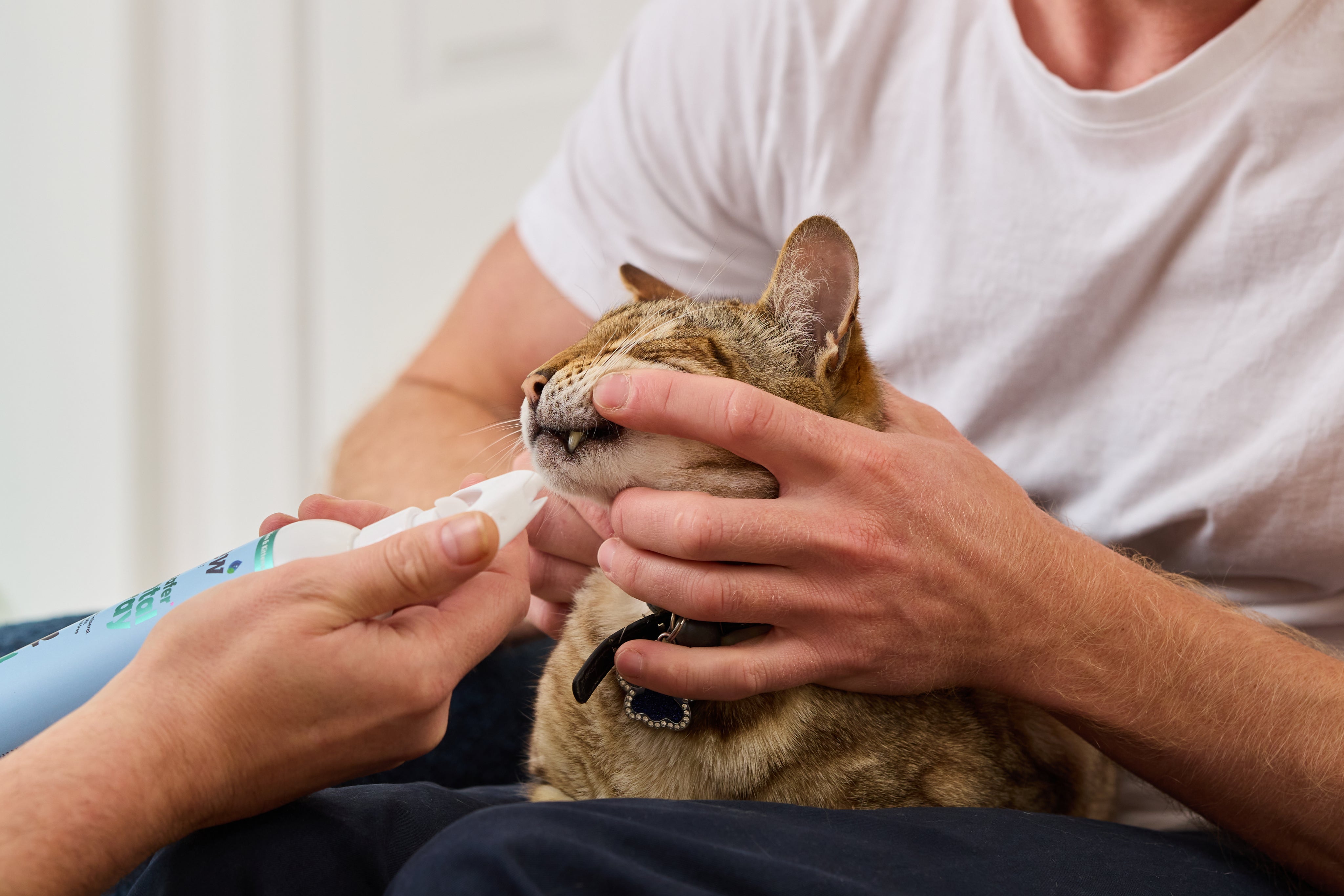 Dew Safer Pet Dental Spray