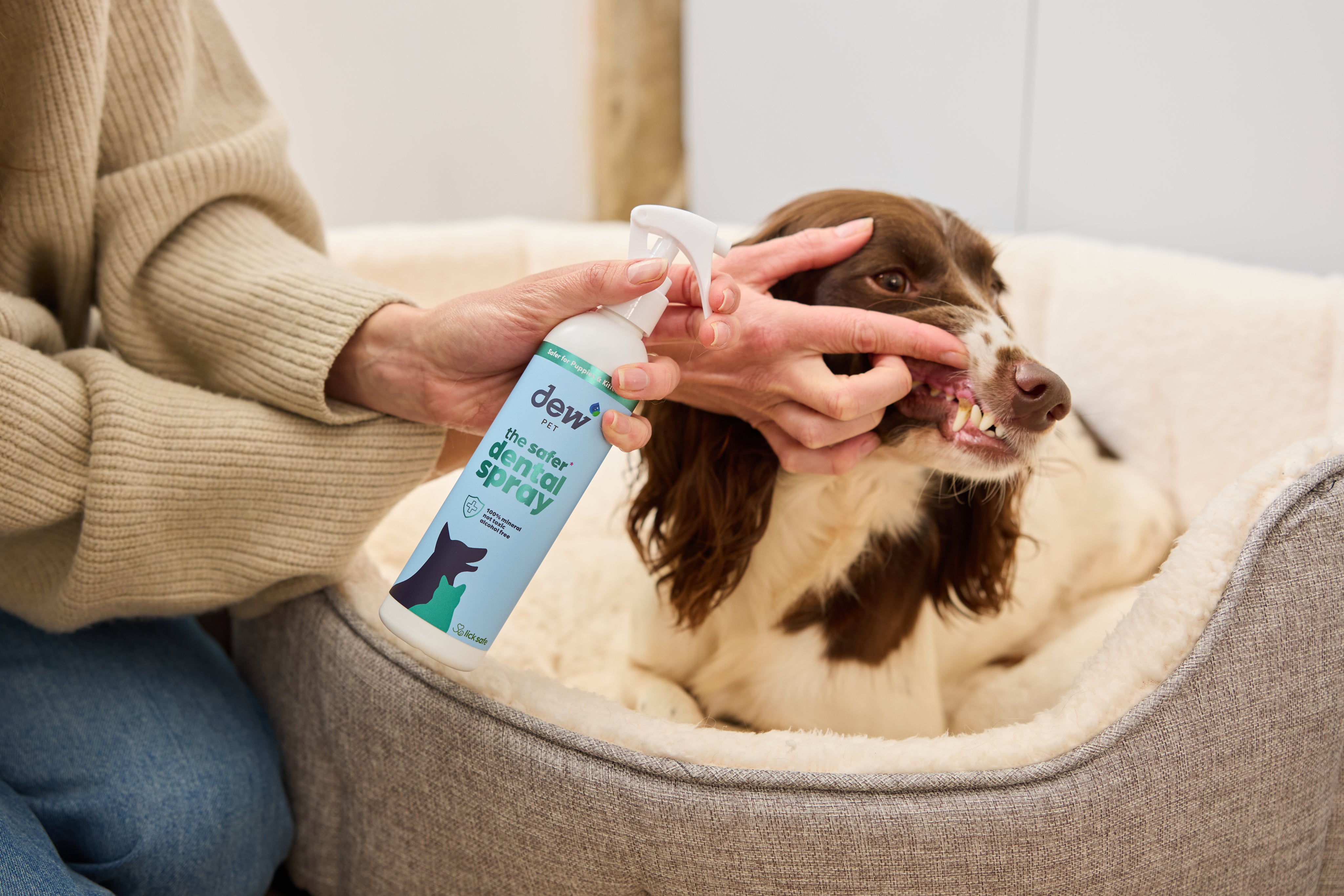 Dew Safer Pet Dental Spray