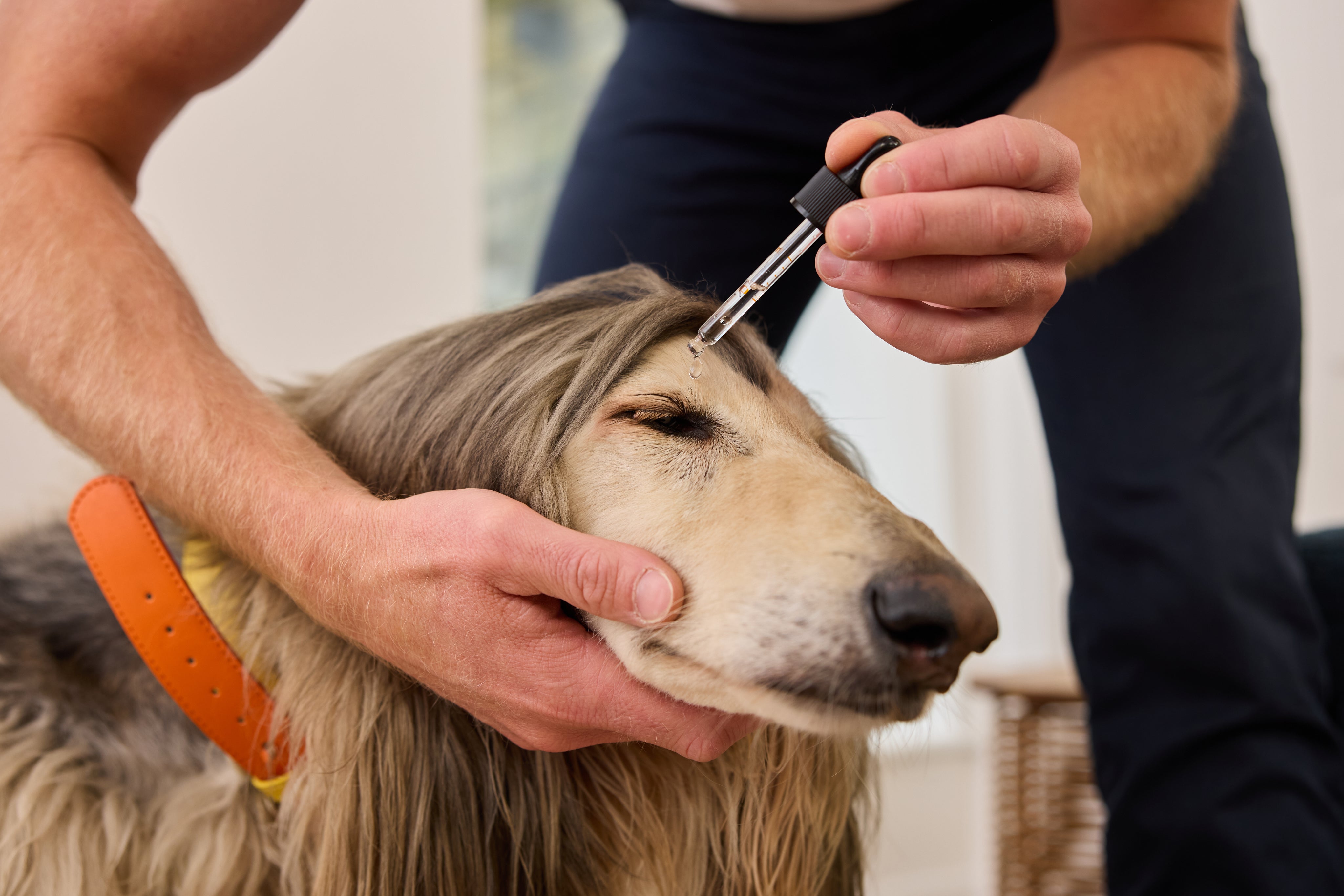 Dew Safer Pet Eye Drops
