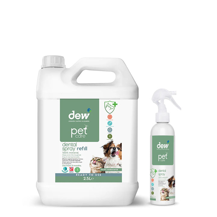 Pet Dental Spray