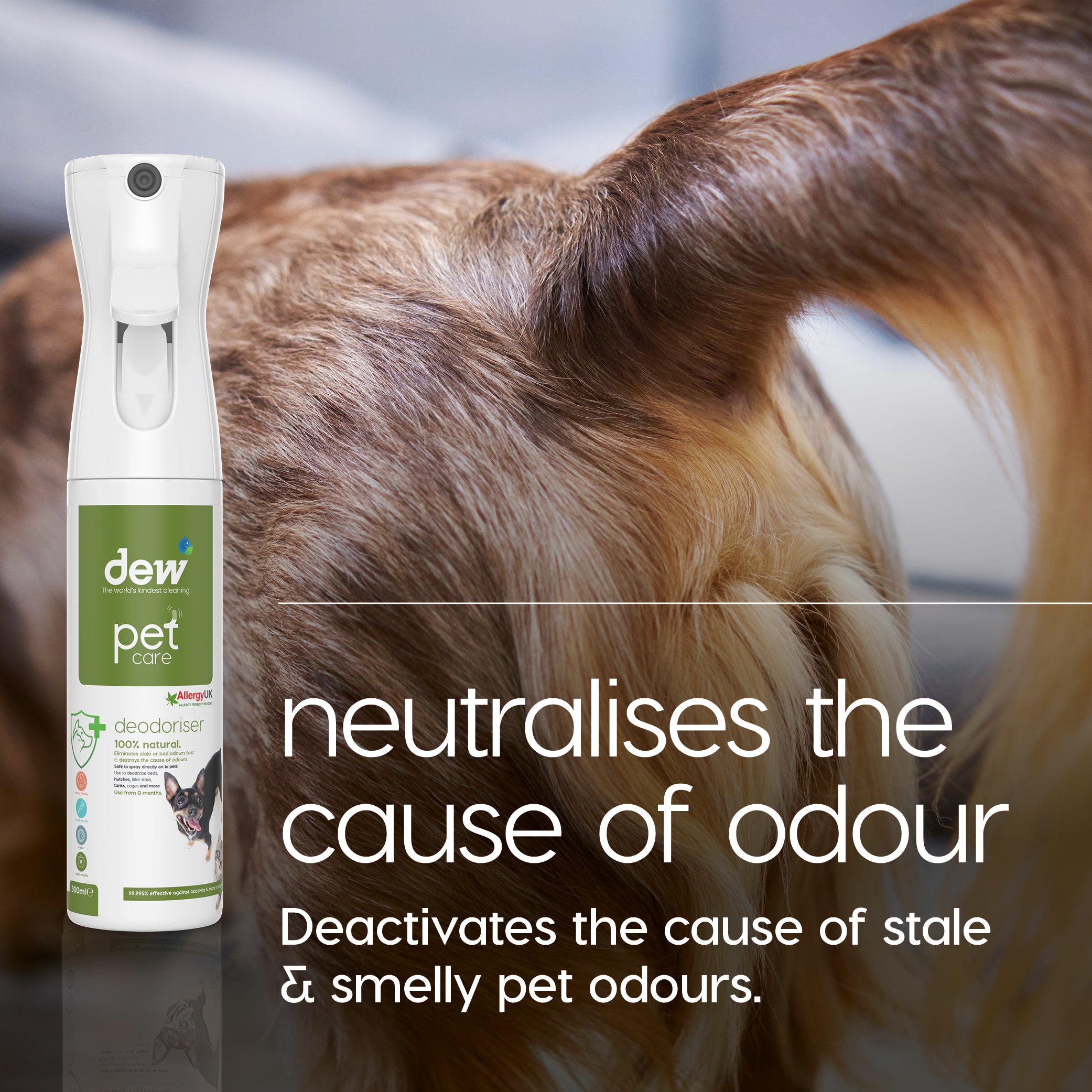 Neutralises The Cause Of Odour